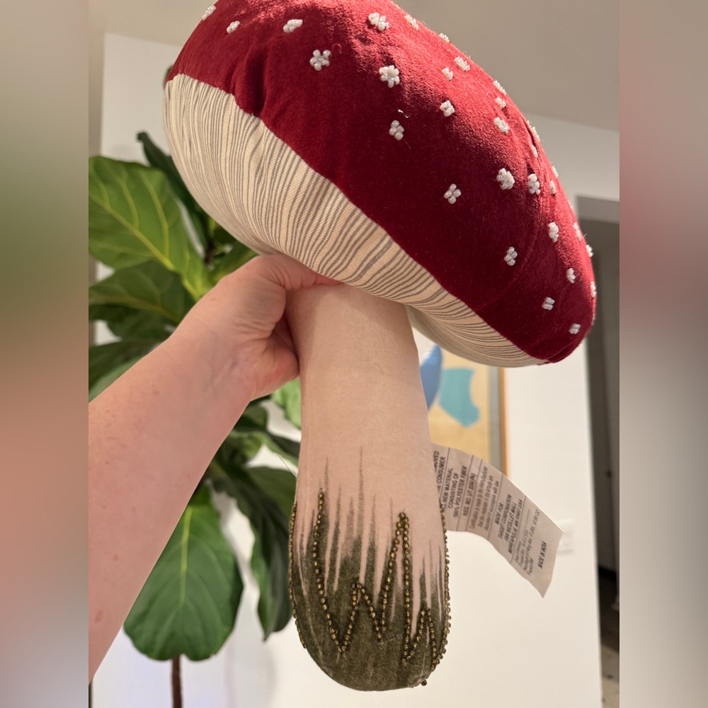 John Derian Mushroom Pillow 🍄 - Picture 4 of 16